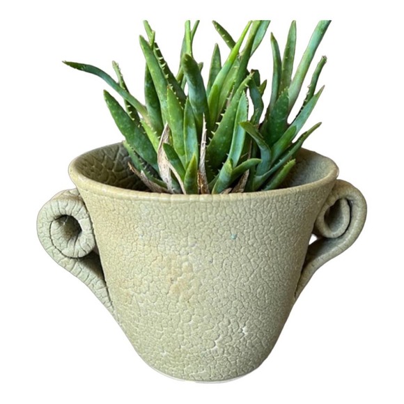 Succulent or Cactus Planter in Olive Green with a Distressed Crackle Finish - Picture 2 of 11